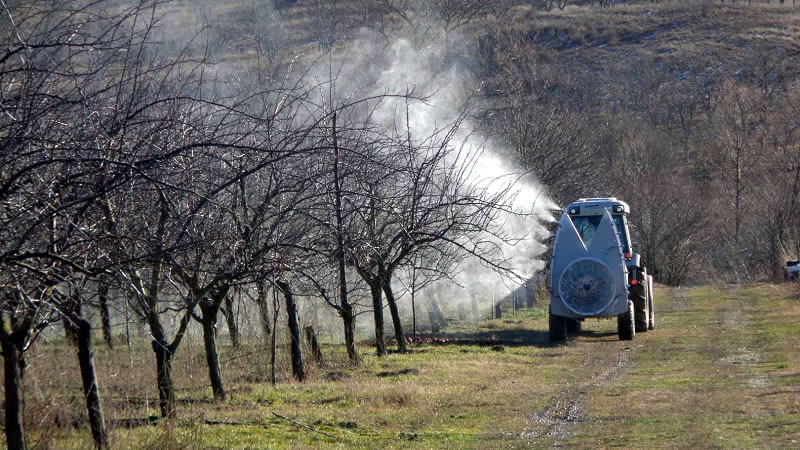 ДФЗ преведе 5,2 млн. лева първи транш по схемата за зимни пръскания