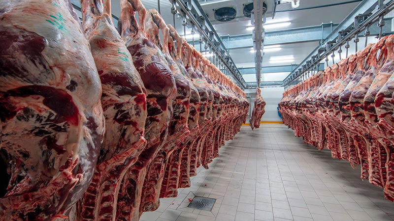 Отпускат се 1,1 млн. лева за реализация на българско говеждо месо