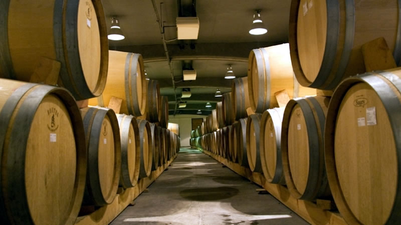 До 15 декември ДФЗ приема заявления по интервенциите „Информиране в държави членки“ и „Популяризиране в трети държави“ в лозаро-винарския сектор
